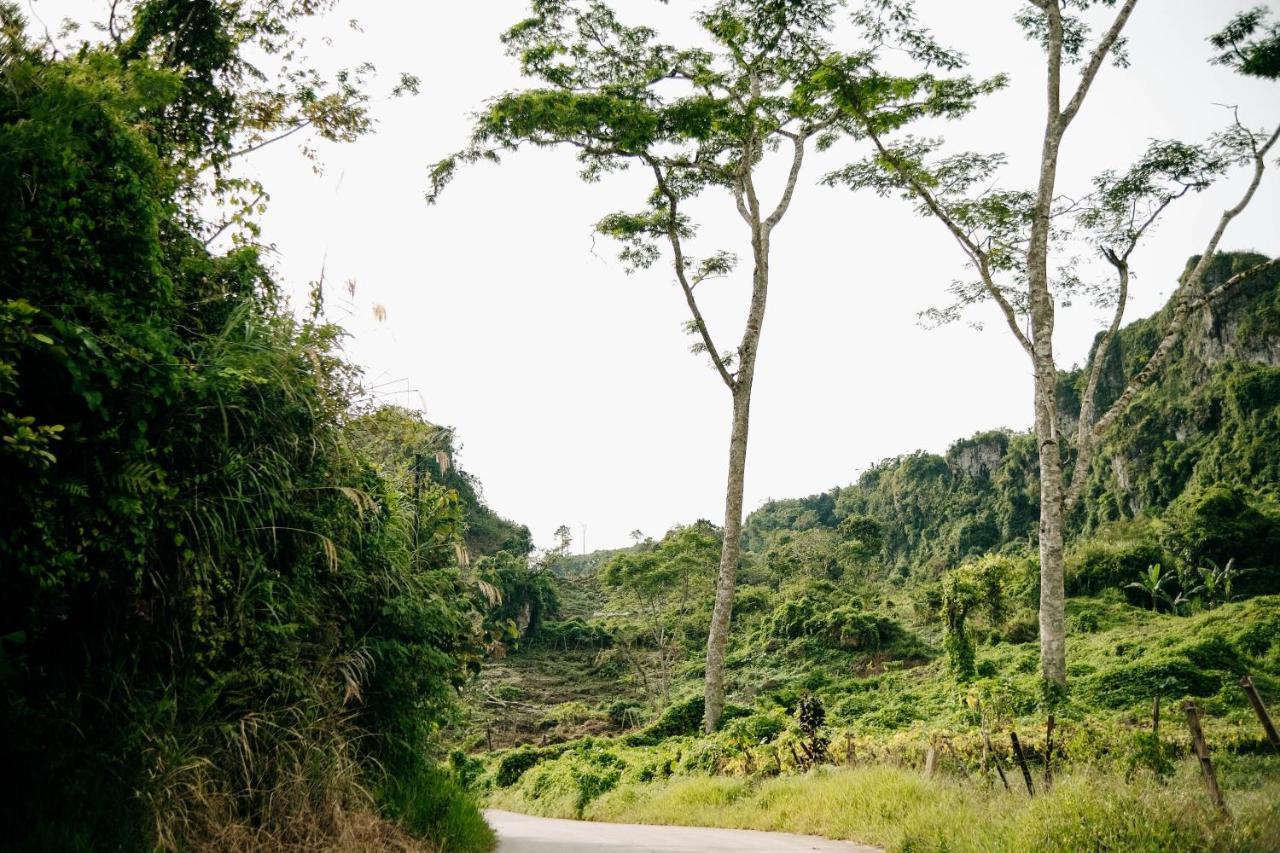 150 Peakway Mountain Resort Dalaguete Exterior photo